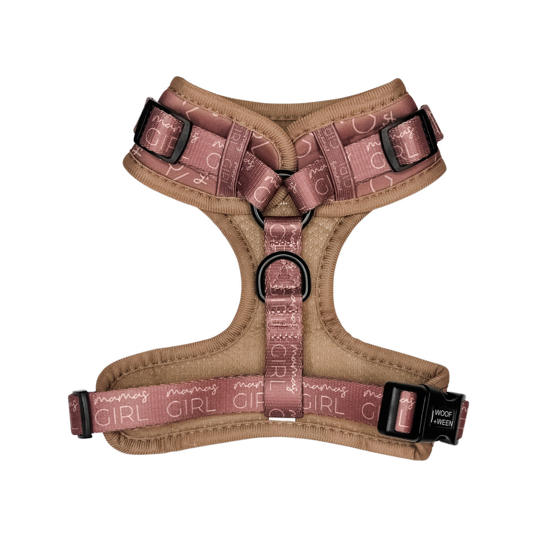 back view of mauve mamas girl pattern woof+ween dachshund harness