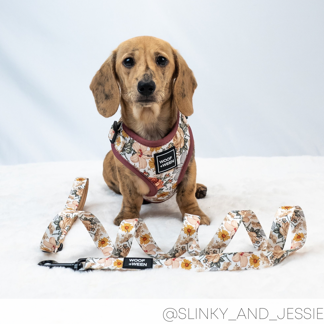 Leash - FLOWER FIELDS