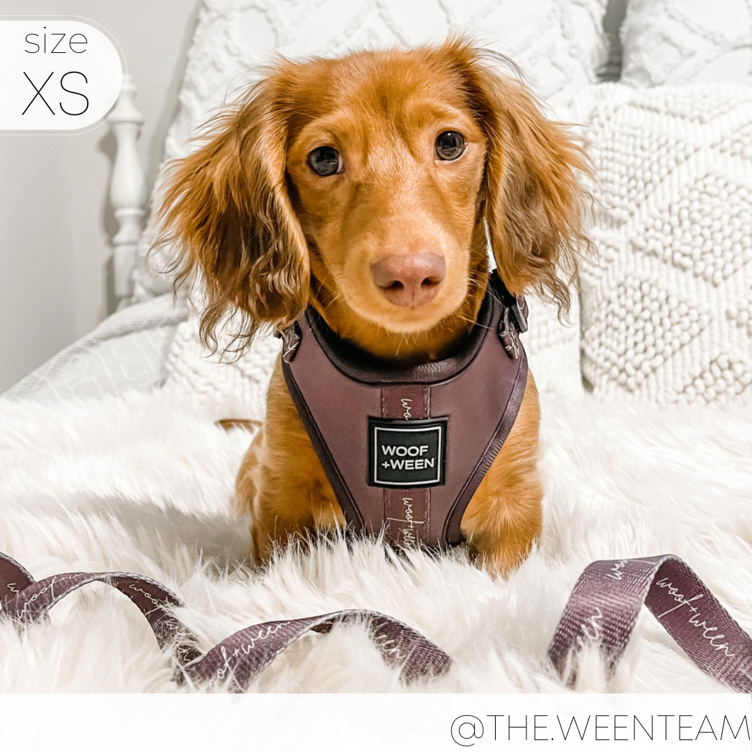 Adjustable Dog Harness - PLUM
