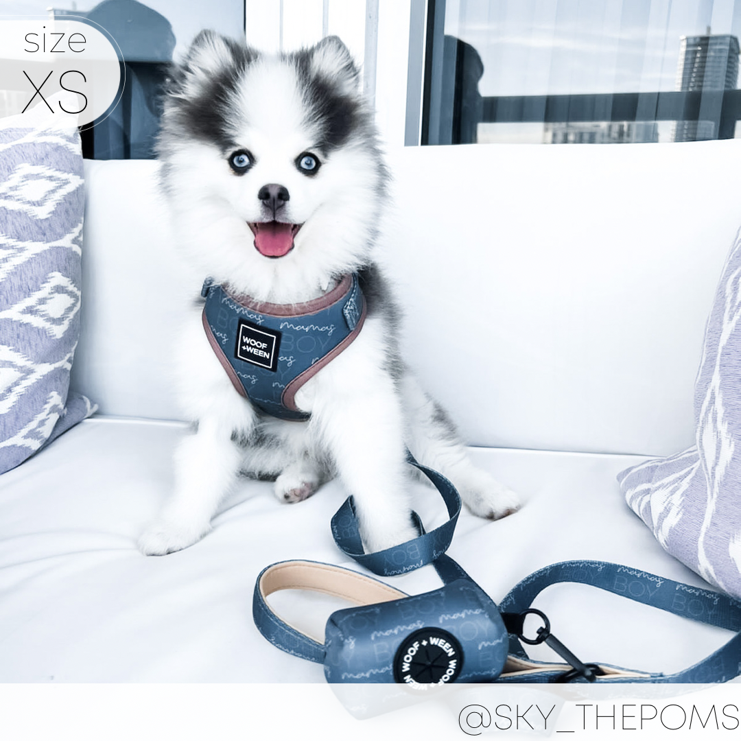 Adjustable Dog Harness - MAMAS BOY