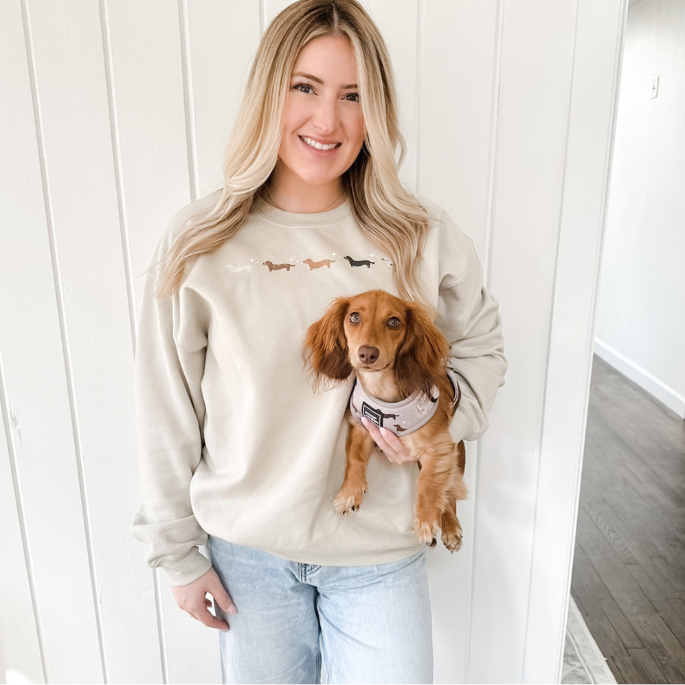 woman wearing dachshund sweatshirt and holding dachshund wearing a dachshund pattern dog harness