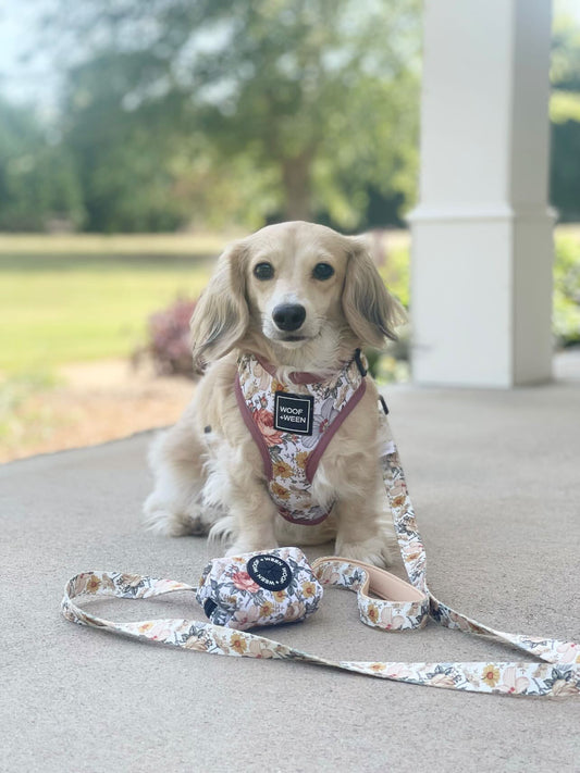 Waste Bag Holder - FLOWER FIELDS