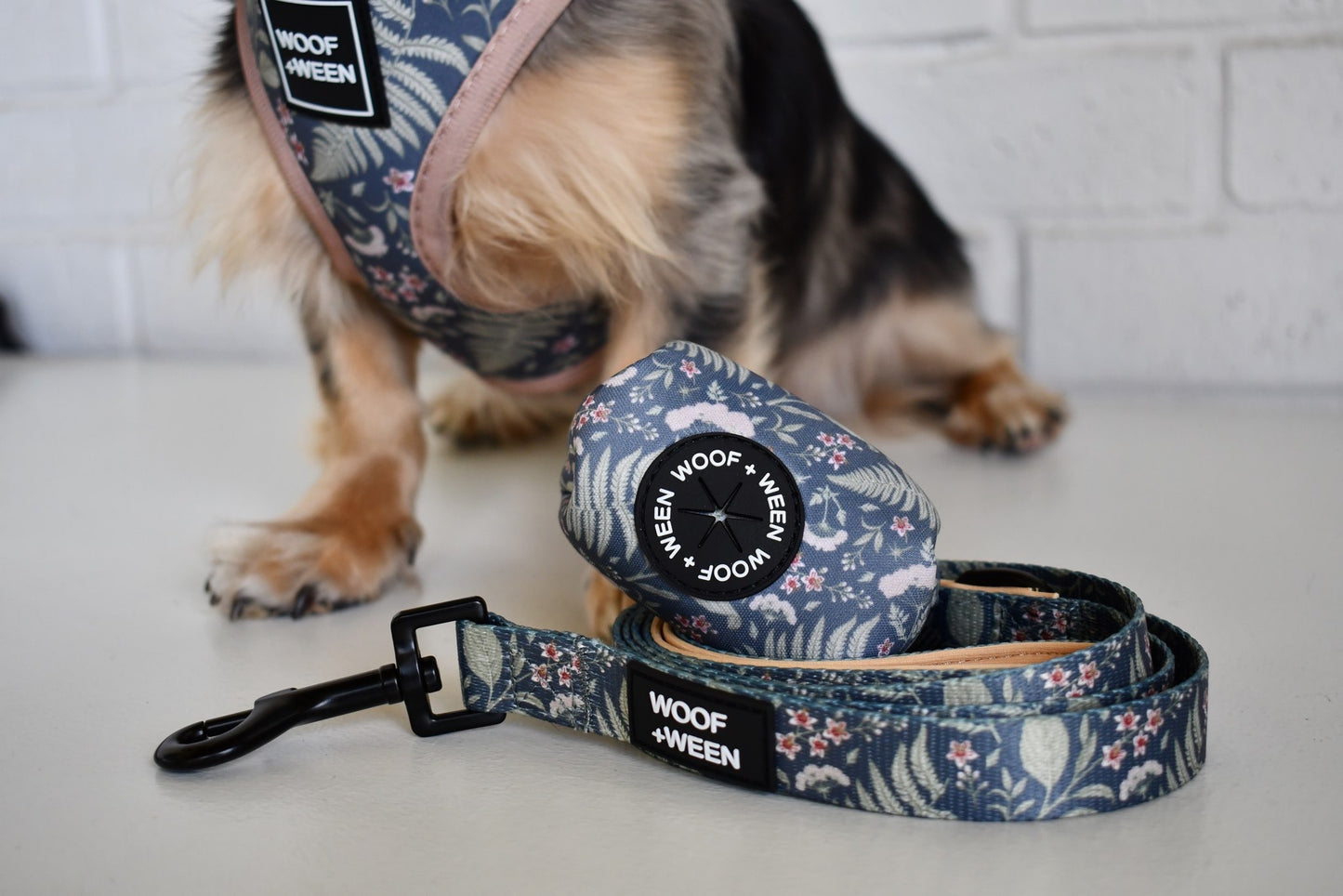 Leash - BOTANICAL PUP