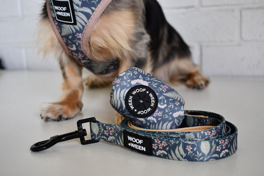 Leash - BOTANICAL PUP