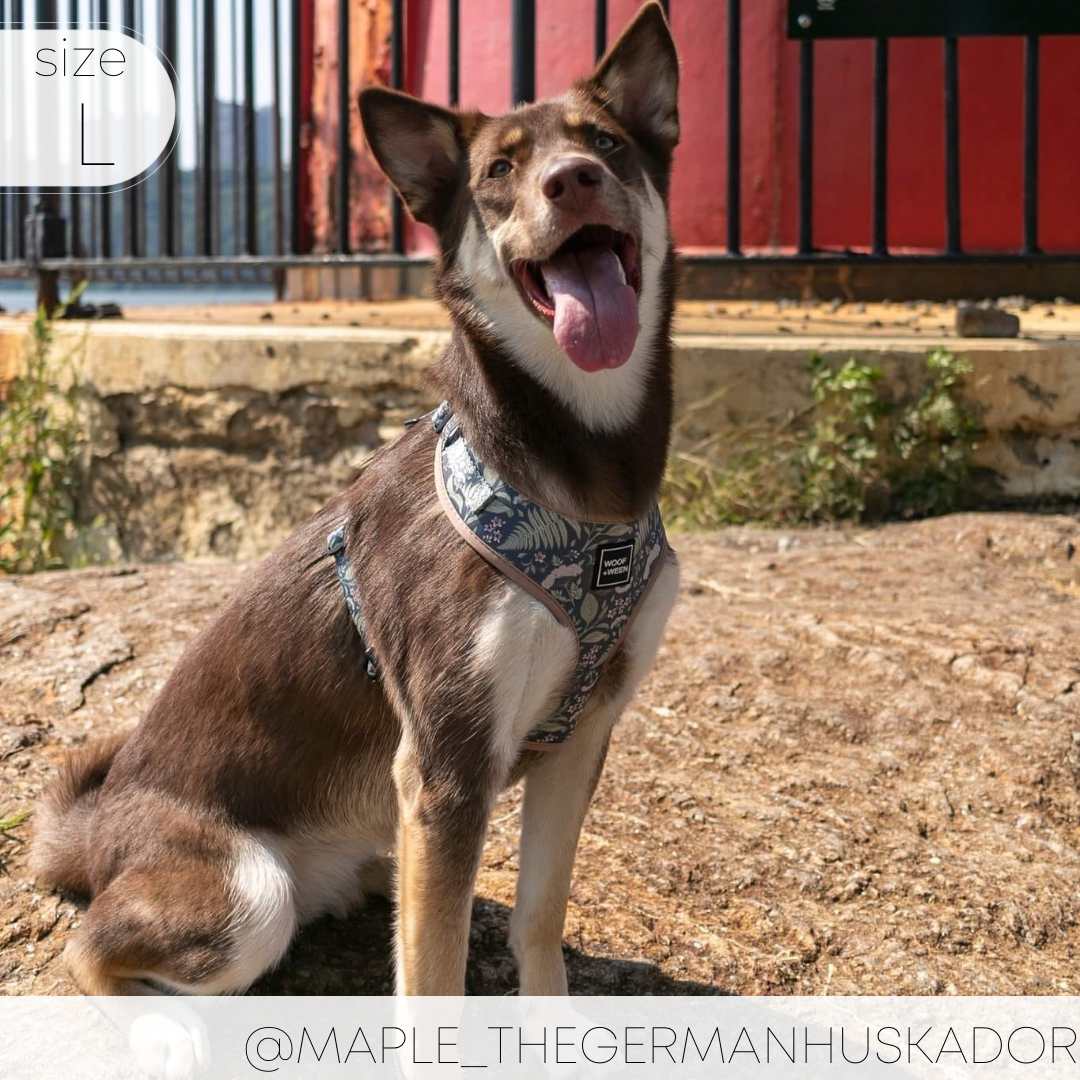 Adjustable Dog Harness - BOTANICAL PUP