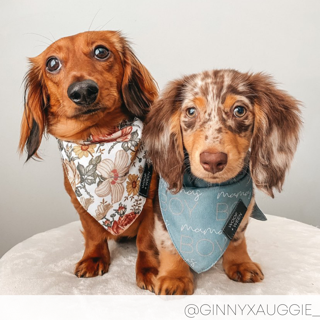 Bandana - FLOWER FIELDS