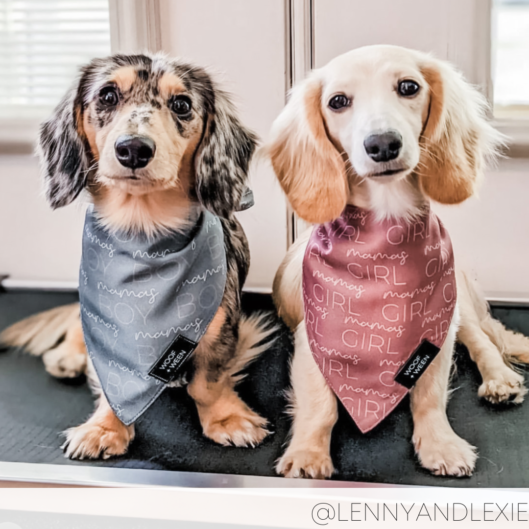 Bandana - MAMAS GIRL