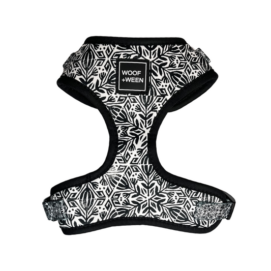 Adjustable Dog Harness - BACK IN BLACK