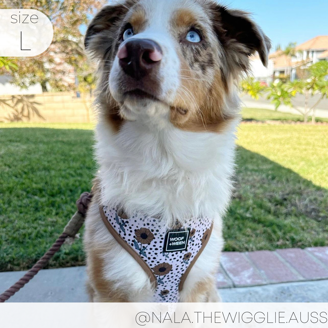 Adjustable Dog Harness - SUNFLOWER CHILD