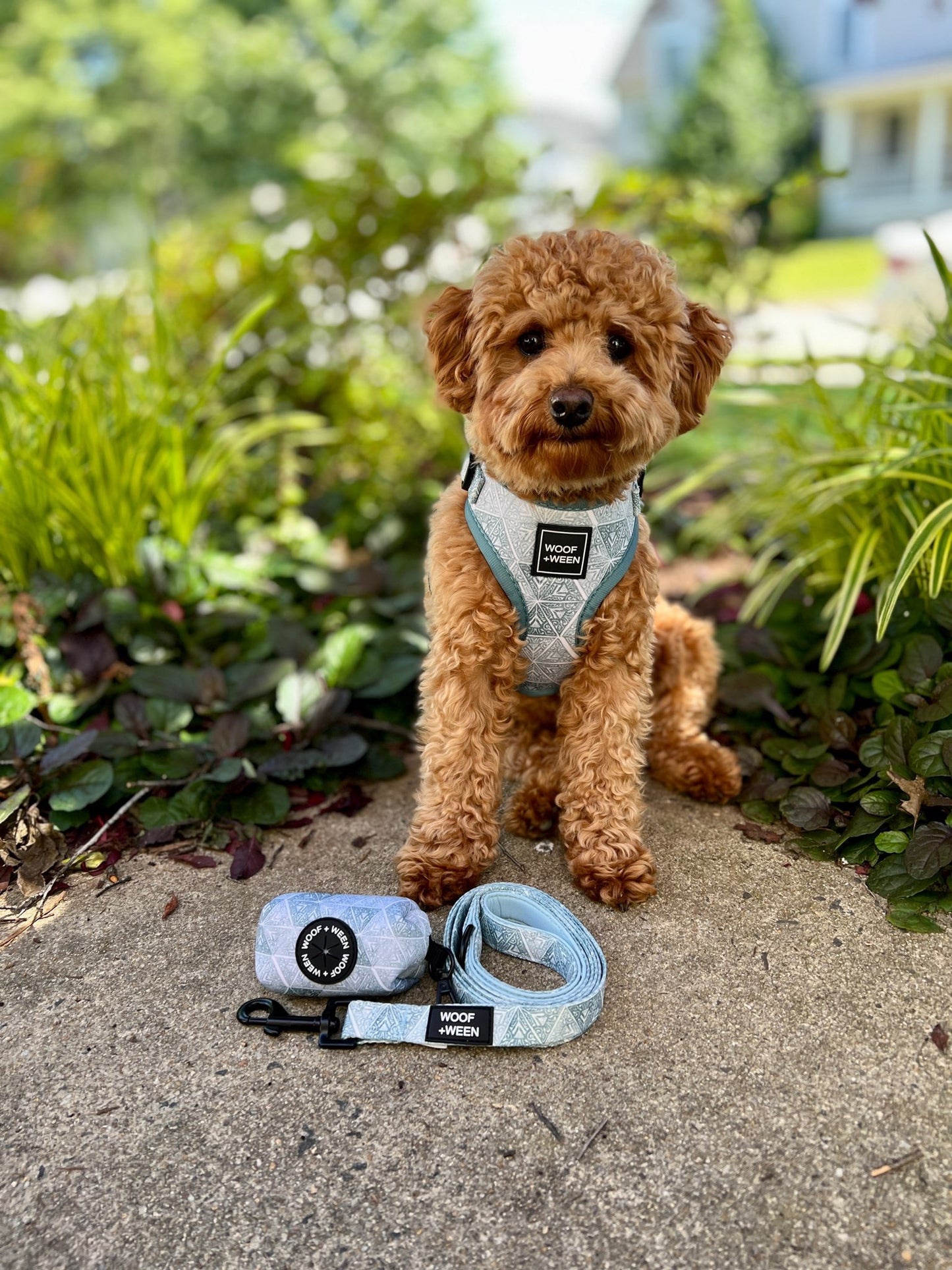 Waste Bag Holder - GEO DOGGO