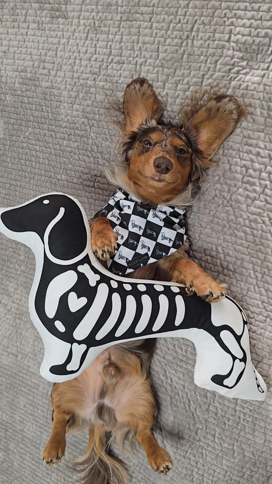 dachshund with skeleton dachshund wiener dog pillow