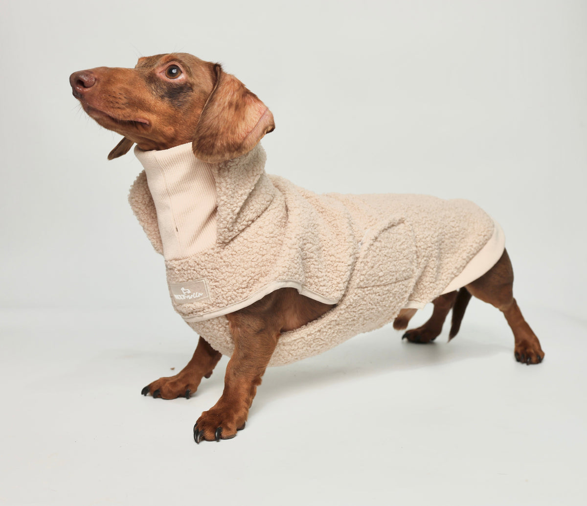 Dachshund Sweaters