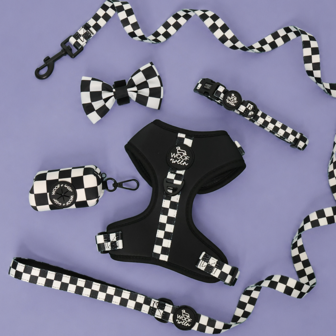 FOR DACHSHUNDS