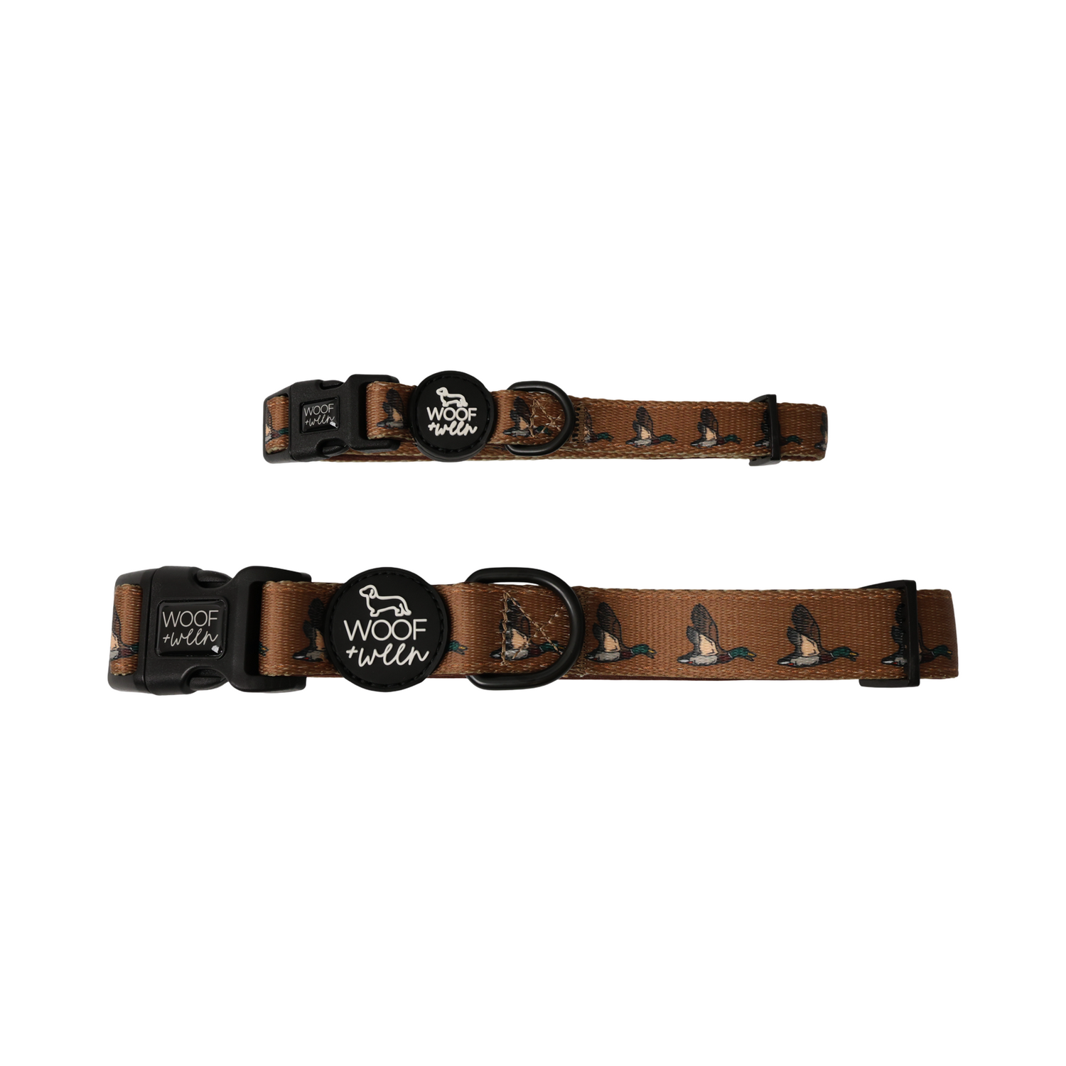 LEASHES & COLLARS