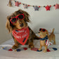 Dachshund Bandana - Red White and Wiener Dogs USA