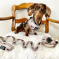 Dachshund Blanket - WHIMSICAL WEENS