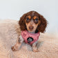 Adjustable Dog Harness - PINK COQUETTE