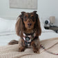Adjustable Dachshund Harness - DOXIE PLAID
