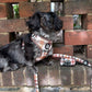 5-piece Bundle - DOXIE PLAID