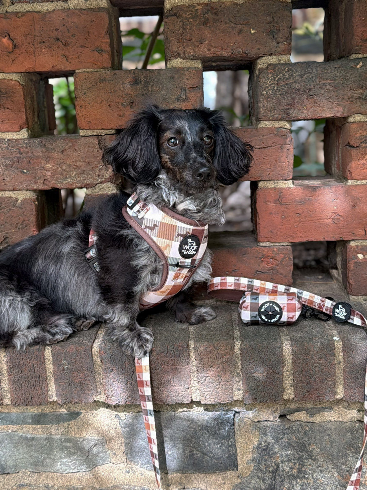 5-piece Bundle - DOXIE PLAID
