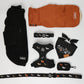 Halloweenie Doxies dachshund Halloween leash and collar matching set lifestyle
