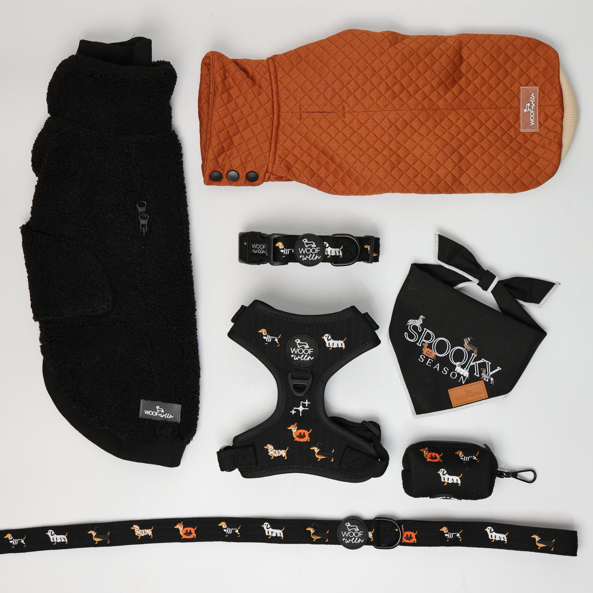 Halloweenie Doxies dachshund Halloween leash and collar matching set lifestyle