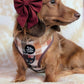 5-piece Bundle - DOXIE PLAID