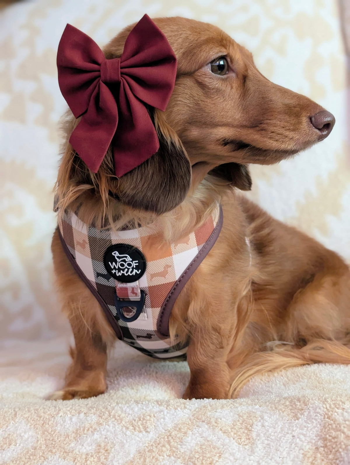 5-piece Bundle - DOXIE PLAID