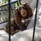 5-piece Bundle - DOXIE PLAID