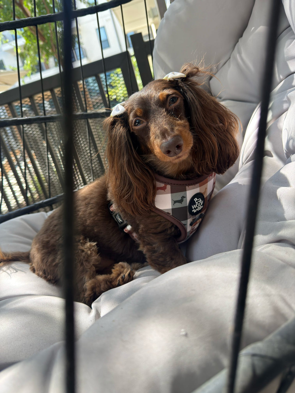 5-piece Bundle - DOXIE PLAID