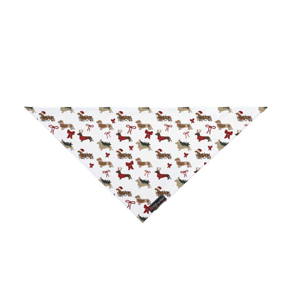 Dachshund Bandana - DACHSHUND CHRISTMAS COQUETTE