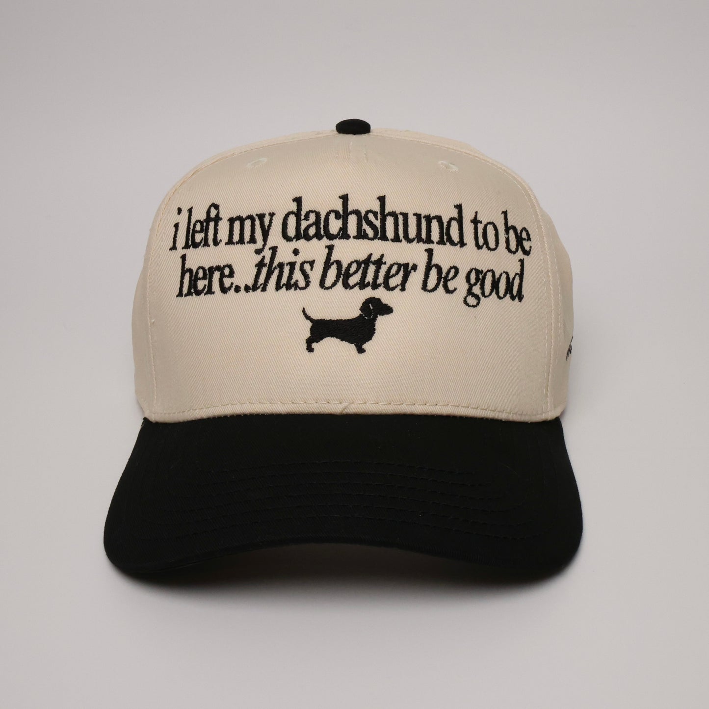 Dachshund Hat - I left my dachshund to be here.. this better be good