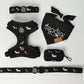 Halloweenie Doxies dachshund Halloween harness and collar lifestyle photo