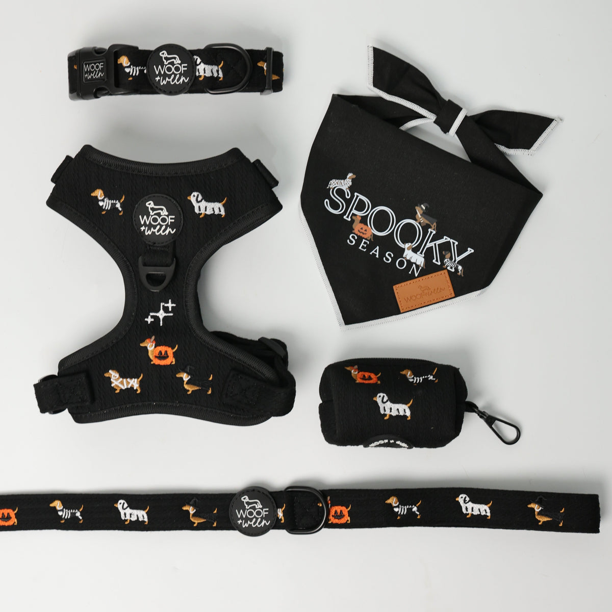 Halloweenie Doxies dachshund Halloween harness and collar lifestyle photo