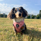 Adjustable Dog Harness - PINK COQUETTE