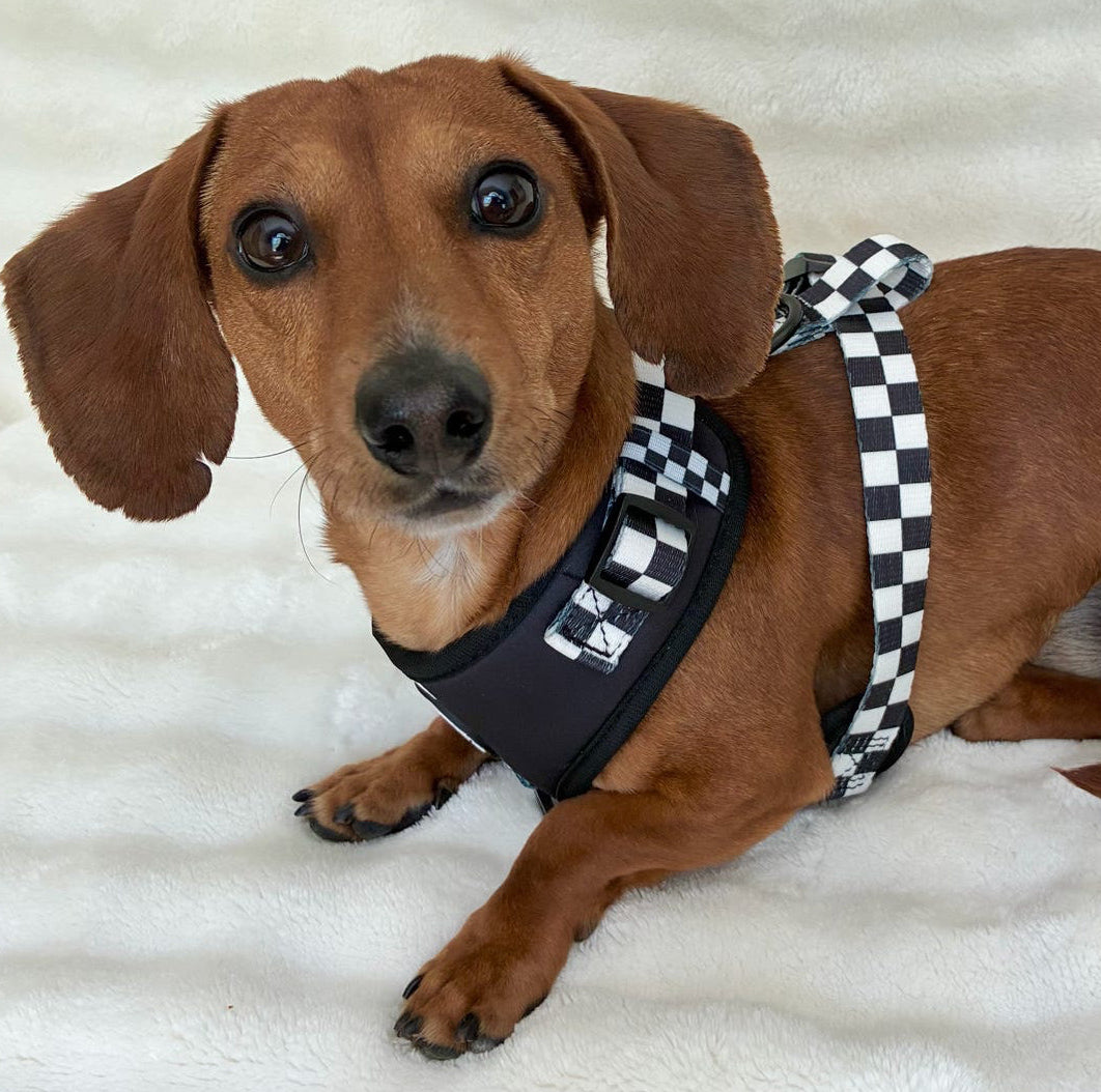 Adjustable Dog Harness - BLACK CHECKERED