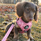 Adjustable Dog Harness - PINK COQUETTE
