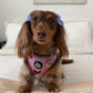 Adjustable Dog Harness - SORBET SUNSET
