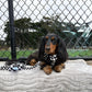 Adjustable Dog Harness - BLACK CHECKERED
