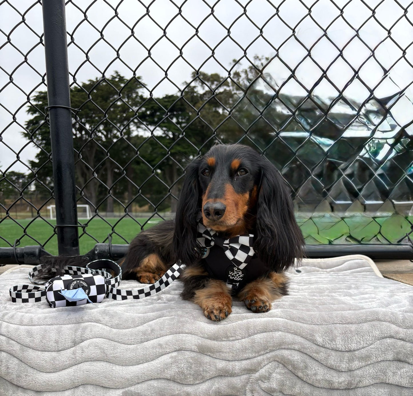 Adjustable Dog Harness - BLACK CHECKERED