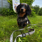 Adjustable Dog Harness - DUCK CAMO