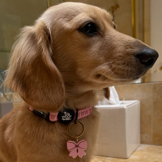 Collar - PINK COQUETTE