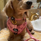 Adjustable Dog Harness - PINK COQUETTE