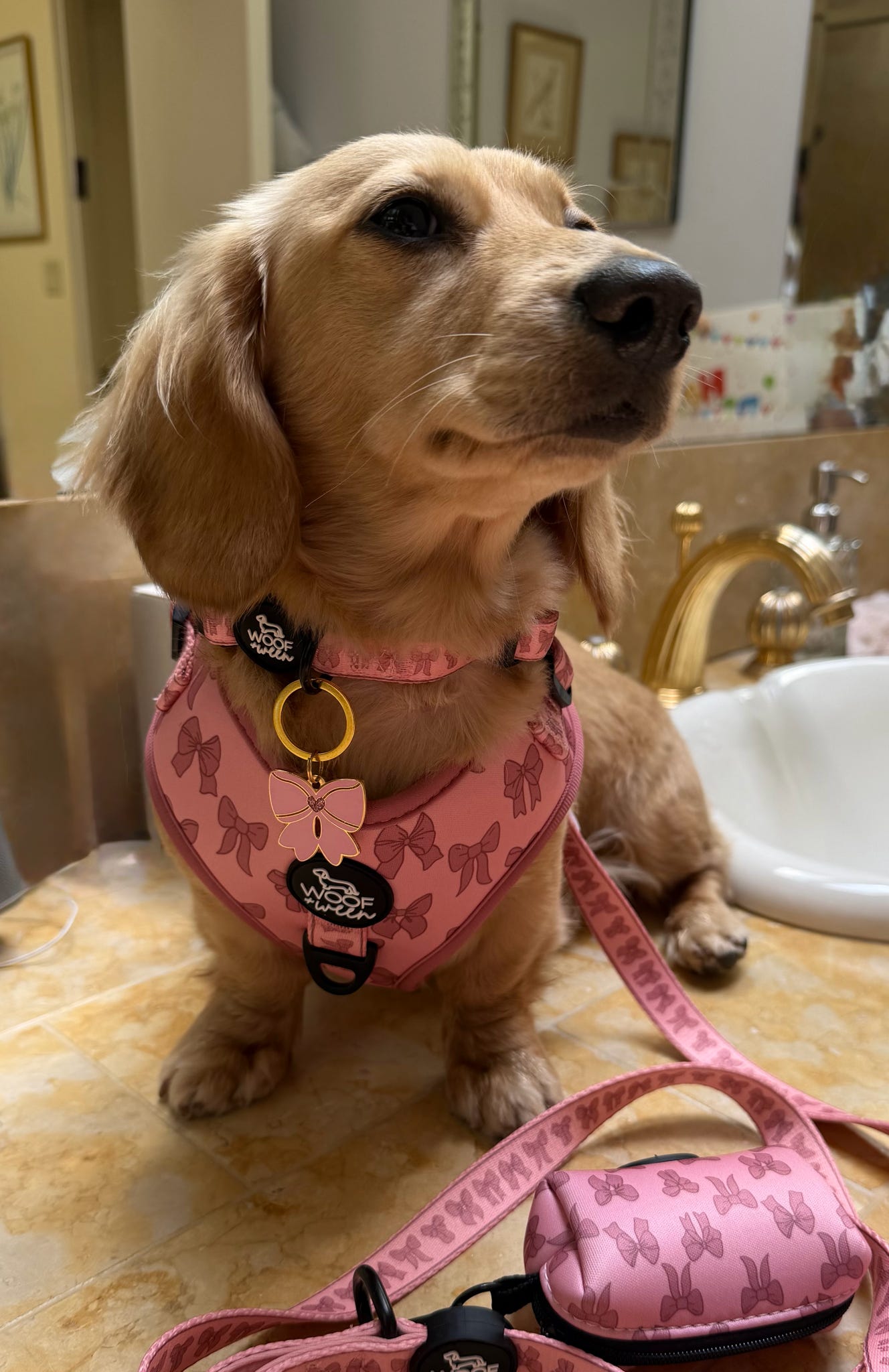 Adjustable Dog Harness - PINK COQUETTE