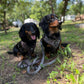 Adjustable Dog Harness - DUCK CAMO