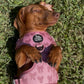 Adjustable Dog Harness - PINK COQUETTE