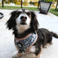 Adjustable Dog Harness - BOTANICAL PUP