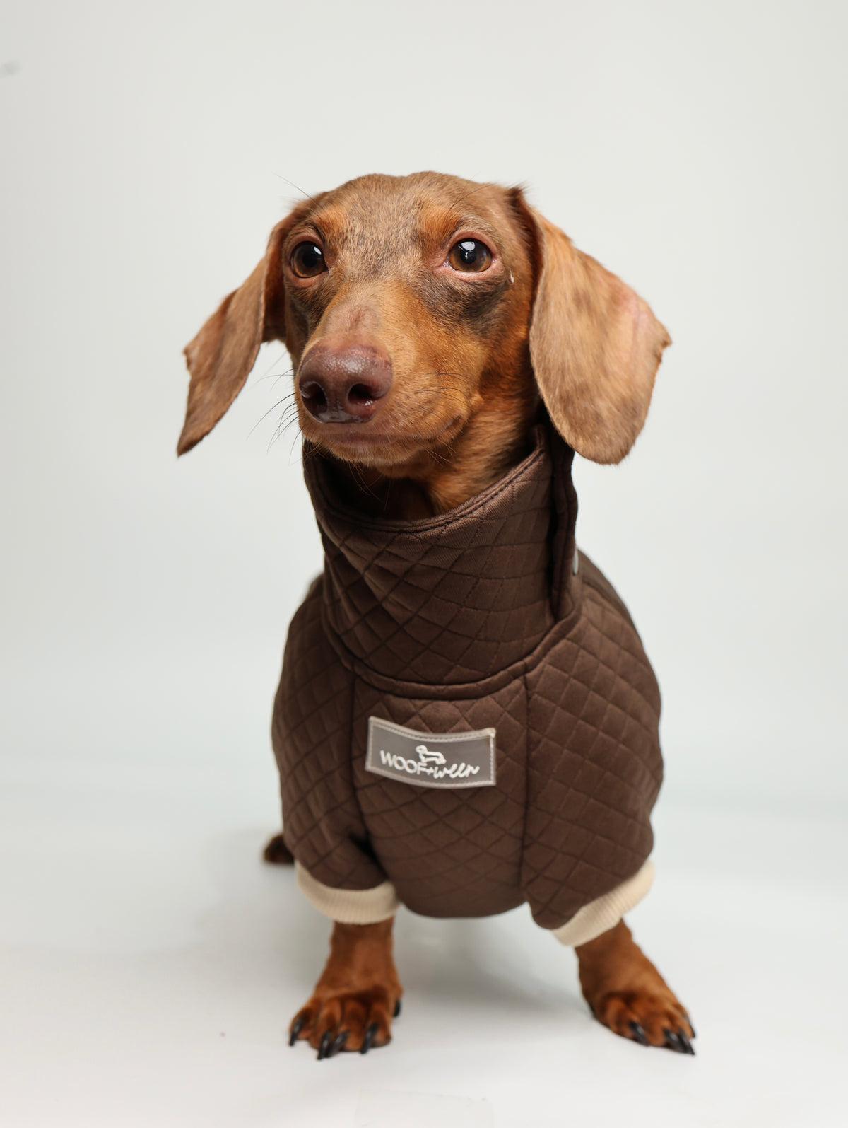 Dachshund Sweater - Chocolate Brown Quilted Turtleneck Sweater