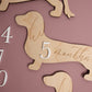 Dachshund Baby Wooden Monthly Milestone - Long Hair Doxie
