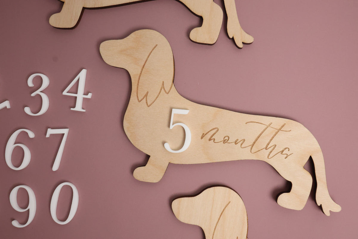 Dachshund Baby Wooden Monthly Milestone - Long Hair Doxie